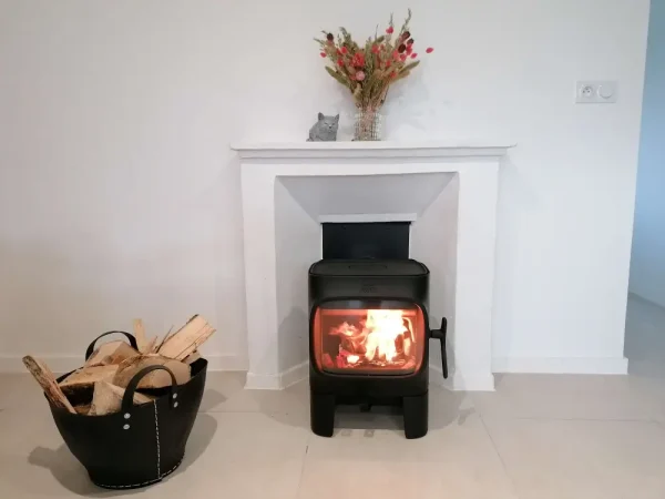 Poêle à bois bûches F 105 R SL devant une ancienne cheminée